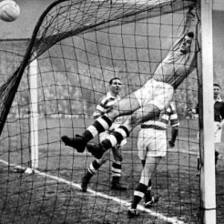 FrankHaffey1959 monkey on goals